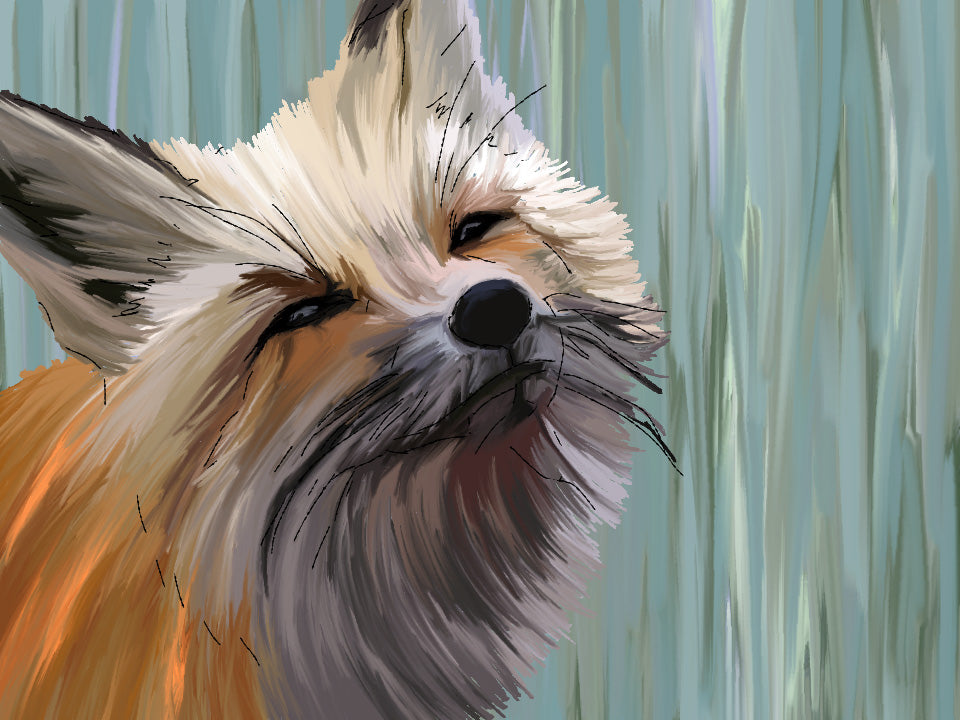 Fox Symbolism